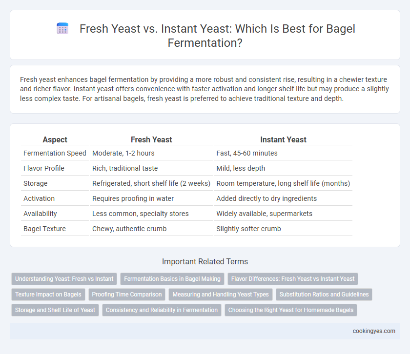 Fresh Yeast vs. Instant Yeast: Which Is Best for Bagel Fermentation?