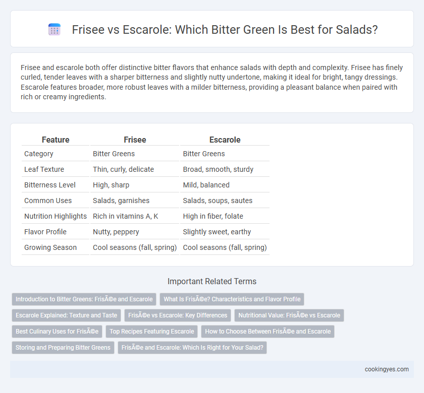 Frisee vs Escarole: Which Bitter Green Is Best for Salads?