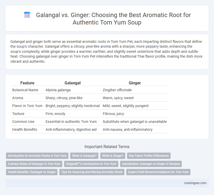 Galangal vs. Ginger: Choosing the Best Aromatic Root for Authentic Tom Yum Soup