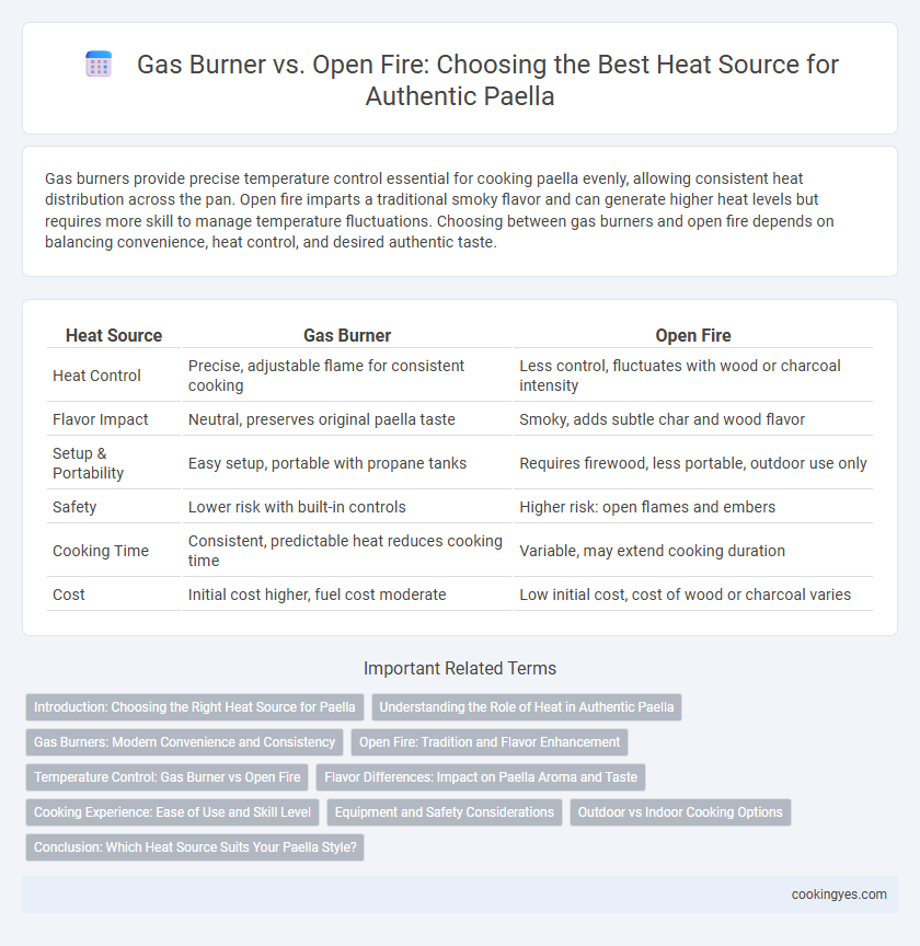 Gas Burner vs. Open Fire: Choosing the Best Heat Source for Authentic Paella