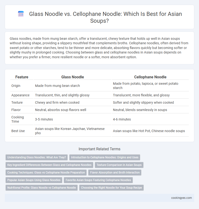 Glass Noodle vs. Cellophane Noodle: Which Is Best for Asian Soups?