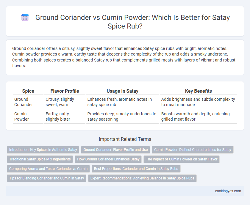 Ground Coriander vs Cumin Powder: Which Is Better for Satay Spice Rub?
