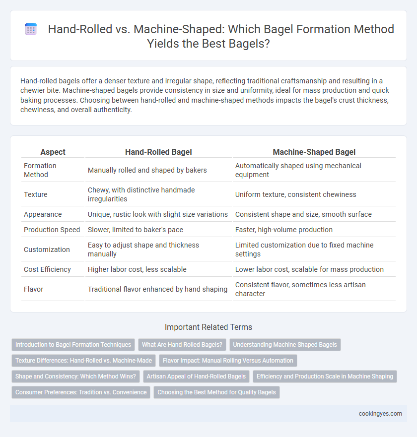 Hand-Rolled vs. Machine-Shaped: Which Bagel Formation Method Yields the Best Bagels?