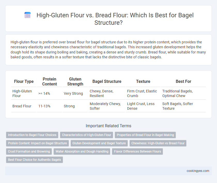High-Gluten Flour vs. Bread Flour: Which Is Best for Bagel Structure?