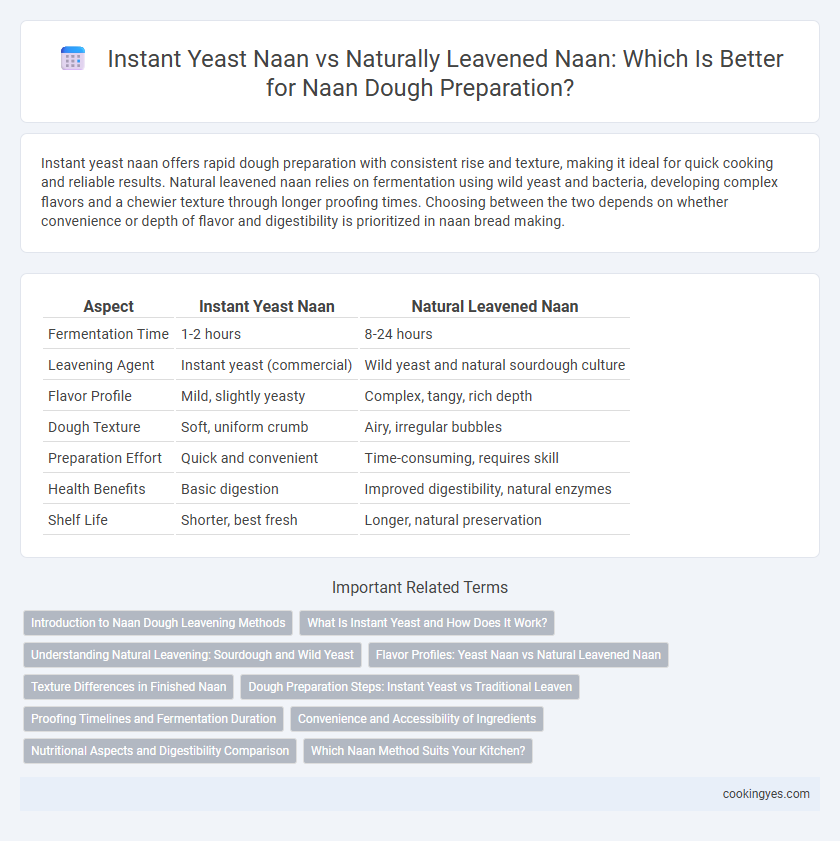 Instant Yeast Naan vs Naturally Leavened Naan: Which Is Better for Naan Dough Preparation?