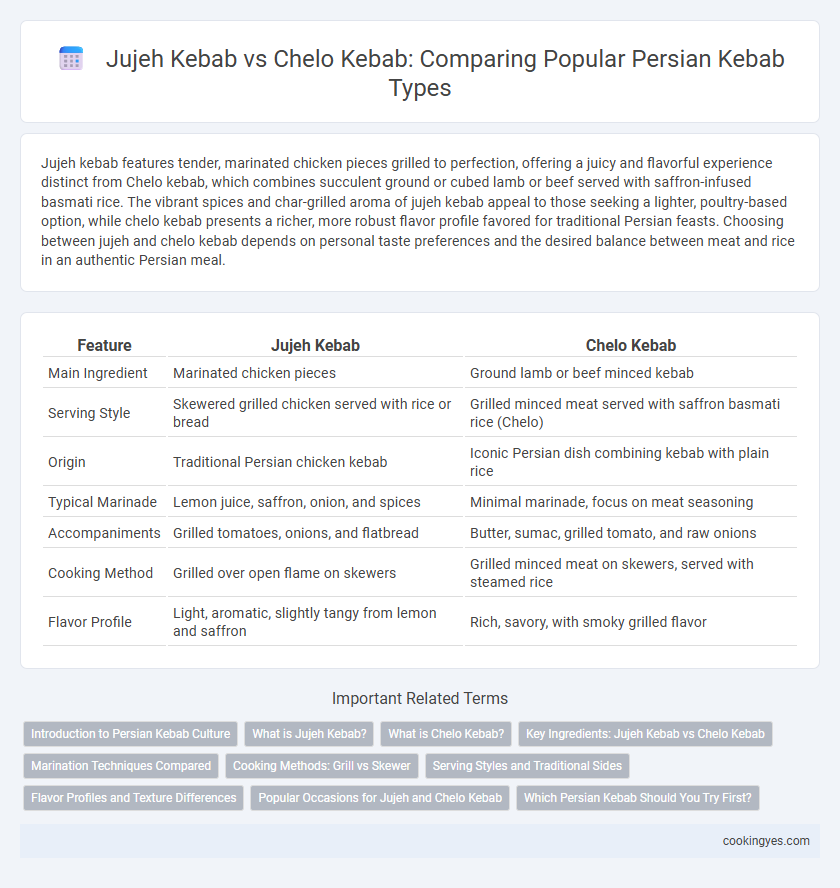 Jujeh Kebab vs Chelo Kebab: Comparing Popular Persian Kebab Types