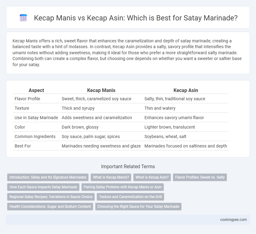 Kecap Manis vs Kecap Asin: Which is Best for Satay Marinade?
