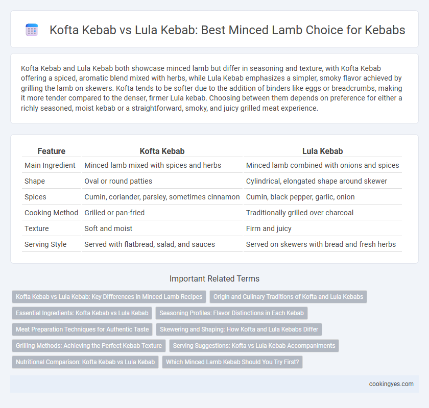 Kofta Kebab vs Lula Kebab: Best Minced Lamb Choice for Kebabs