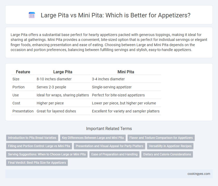 Large Pita vs Mini Pita: Which is Better for Appetizers?