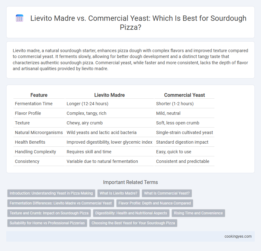 Lievito Madre vs. Commercial Yeast: Which Is Best for Sourdough Pizza?