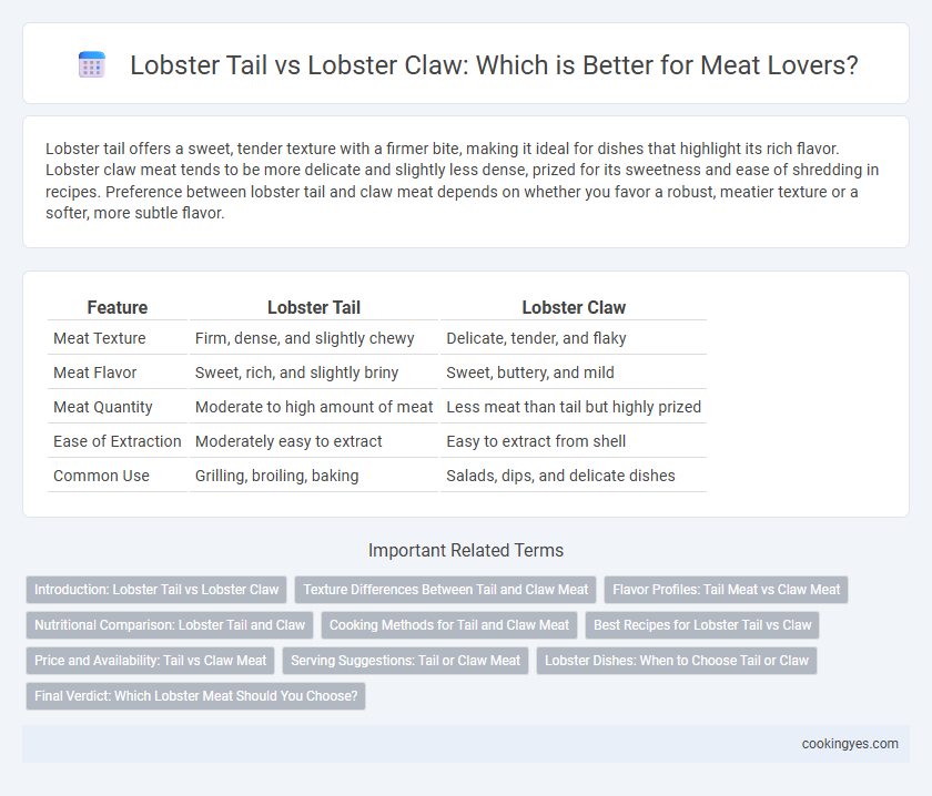 Lobster Tail vs Lobster Claw: Which is Better for Meat Lovers?
