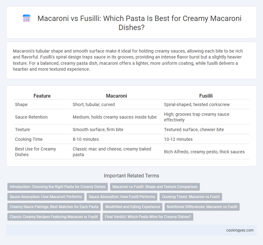 Macaroni vs Fusilli: Which Pasta Is Best for Creamy Macaroni Dishes?