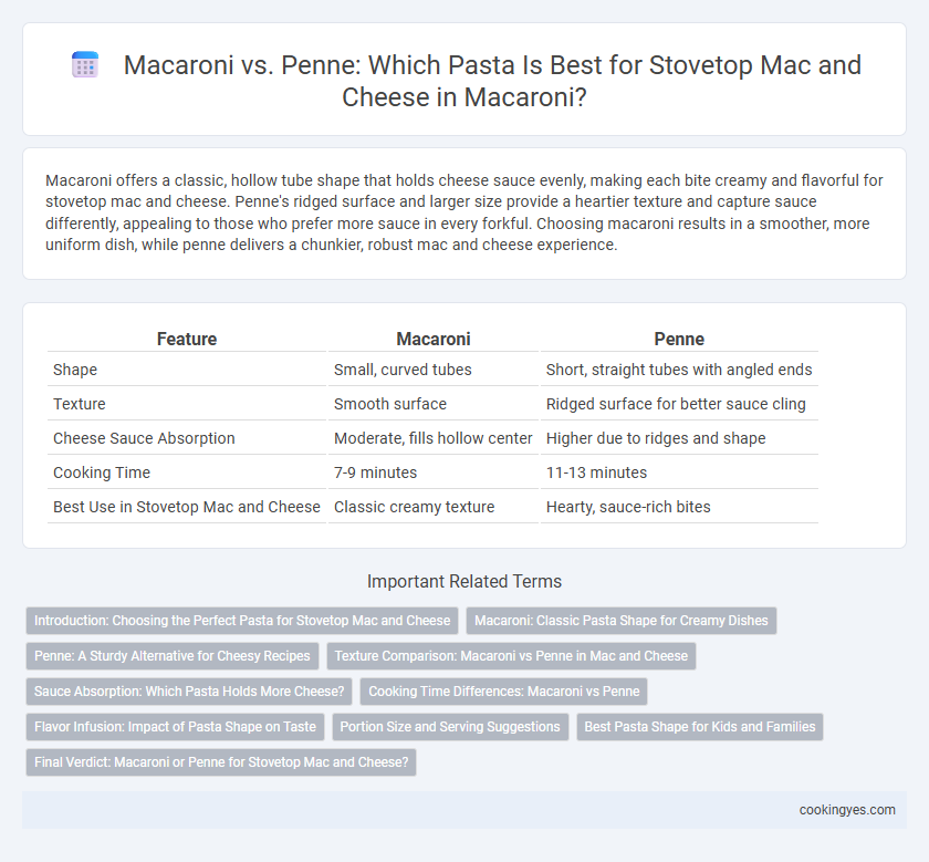 Macaroni vs. Penne: Which Pasta Is Best for Stovetop Mac and Cheese in Macaroni?
