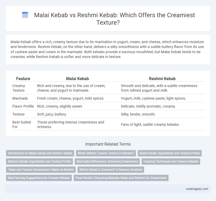 Malai Kebab vs Reshmi Kebab: Which Offers the Creamiest Texture?