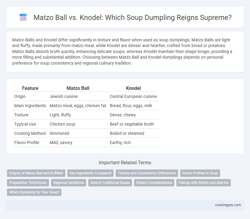 Matzo Ball vs. Knodel: Which Soup Dumpling Reigns Supreme?