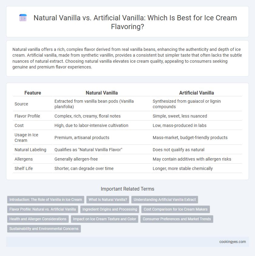 Natural Vanilla vs. Artificial Vanilla: Which Is Best for Ice Cream Flavoring?
