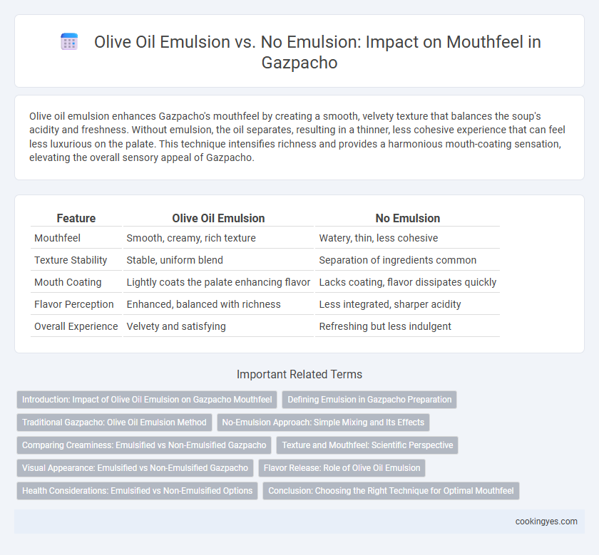 Olive Oil Emulsion vs. No Emulsion: Impact on Mouthfeel in Gazpacho
