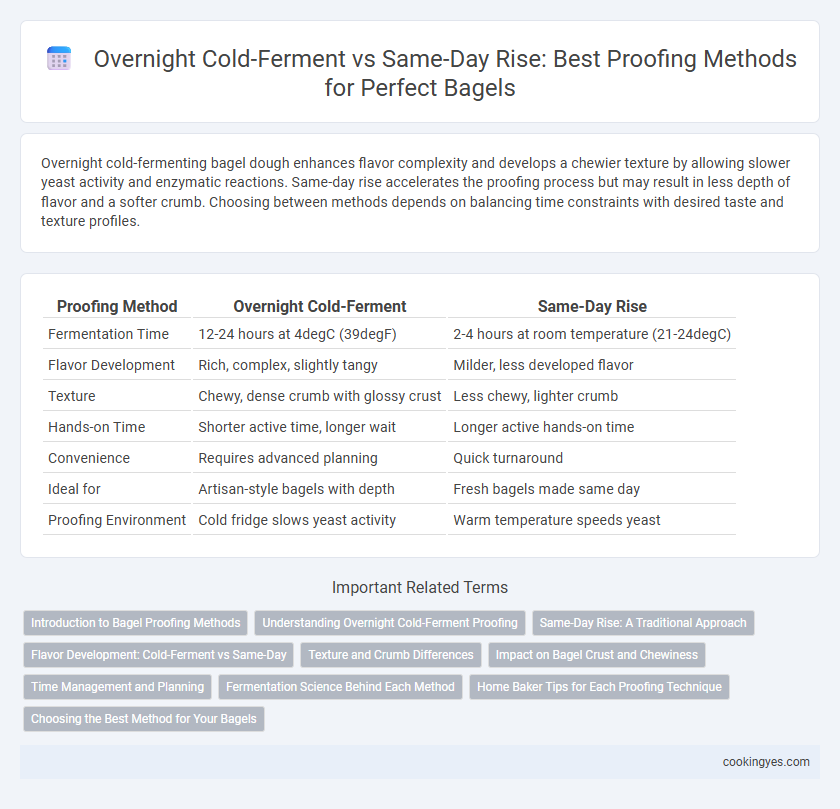 Overnight Cold-Ferment vs Same-Day Rise: Best Proofing Methods for Perfect Bagels