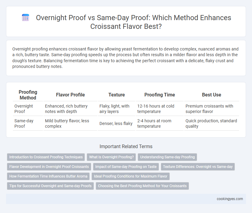 Overnight Proof vs Same-Day Proof: Which Method Enhances Croissant Flavor Best?