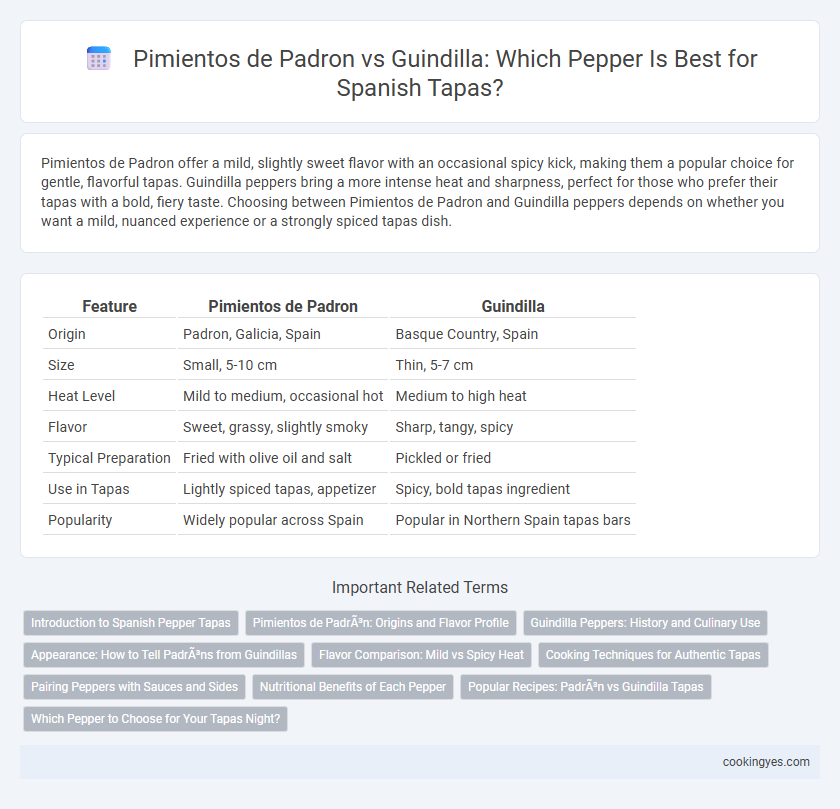 Pimientos de Padron vs Guindilla: Which Pepper Is Best for Spanish Tapas?