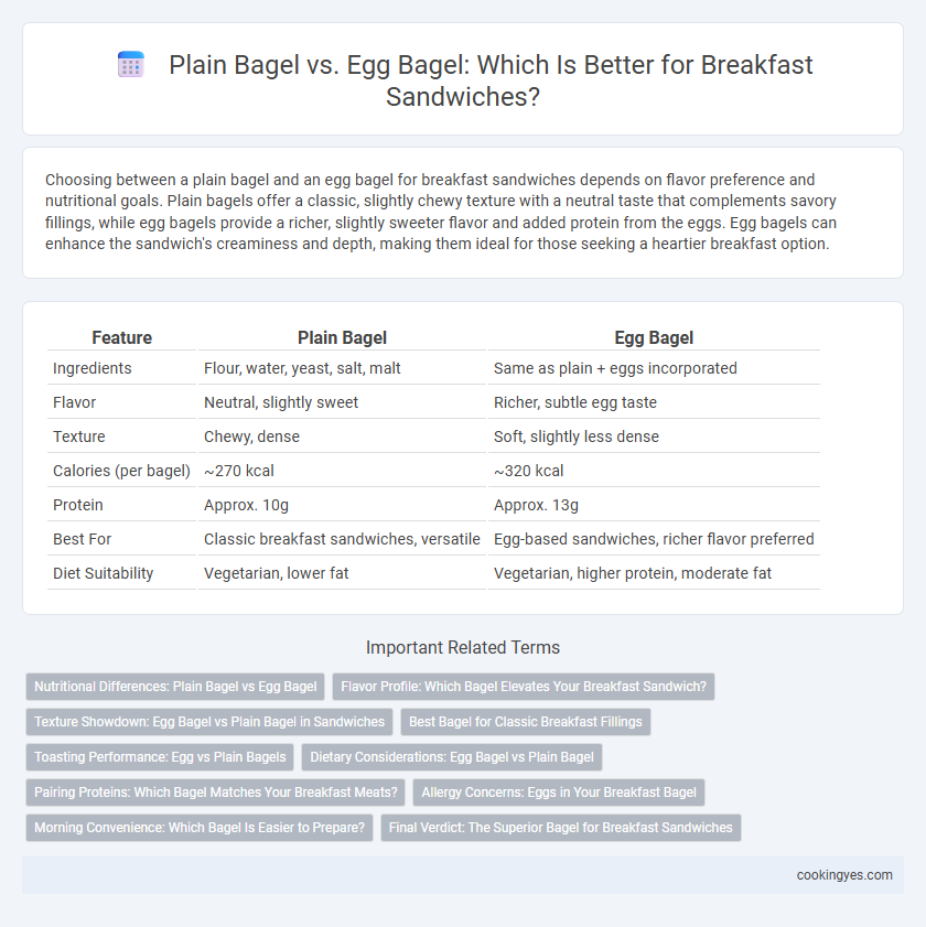 Plain Bagel vs. Egg Bagel: Which Is Better for Breakfast Sandwiches?
