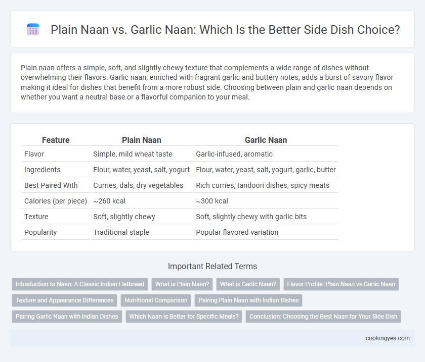 Plain Naan vs. Garlic Naan: Which Is the Better Side Dish Choice?