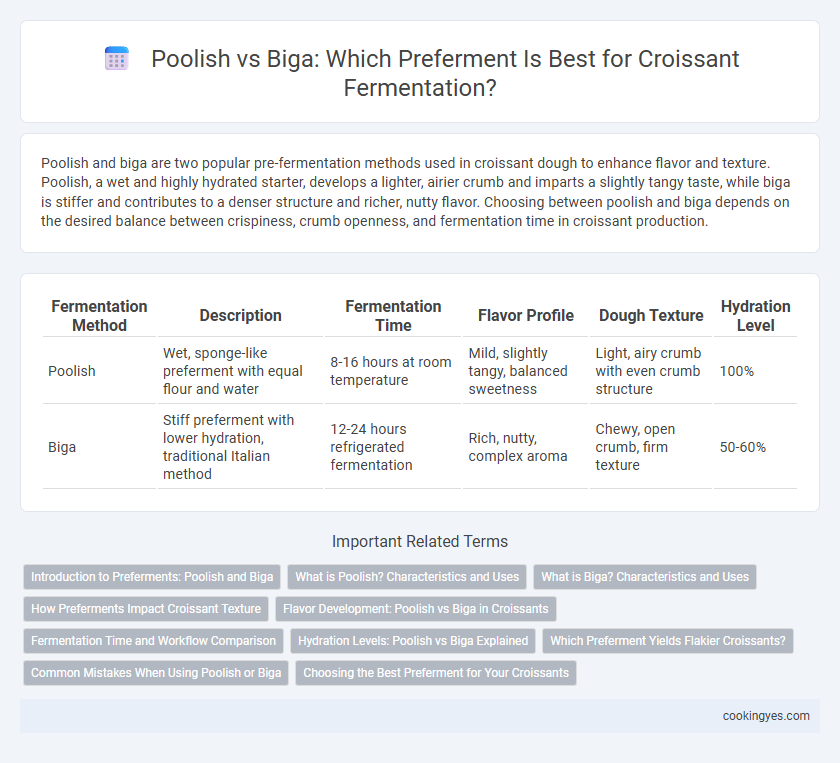 Poolish vs Biga: Which Preferment Is Best for Croissant Fermentation?