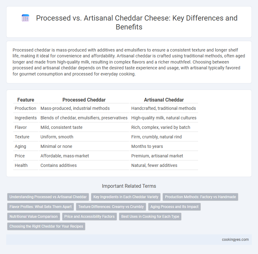 Processed vs. Artisanal Cheddar Cheese: Key Differences and Benefits