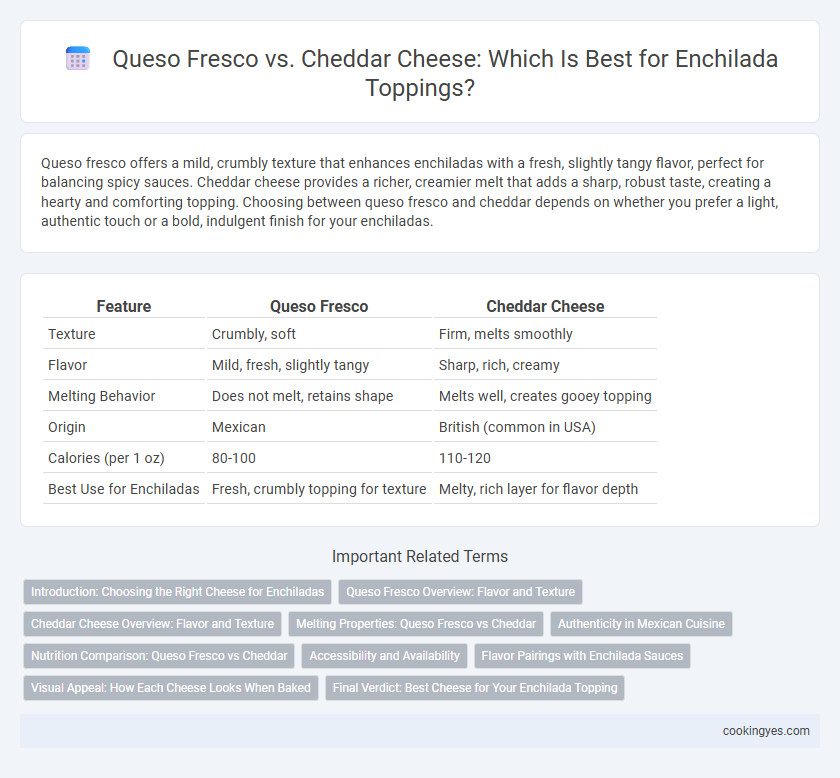 Queso Fresco vs. Cheddar Cheese: Which Is Best for Enchilada Toppings?