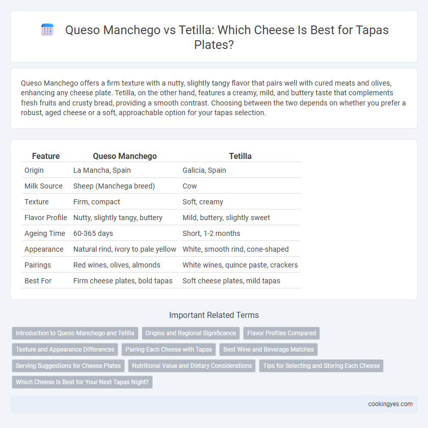 Queso Manchego vs Tetilla: Which Cheese Is Best for Tapas Plates?