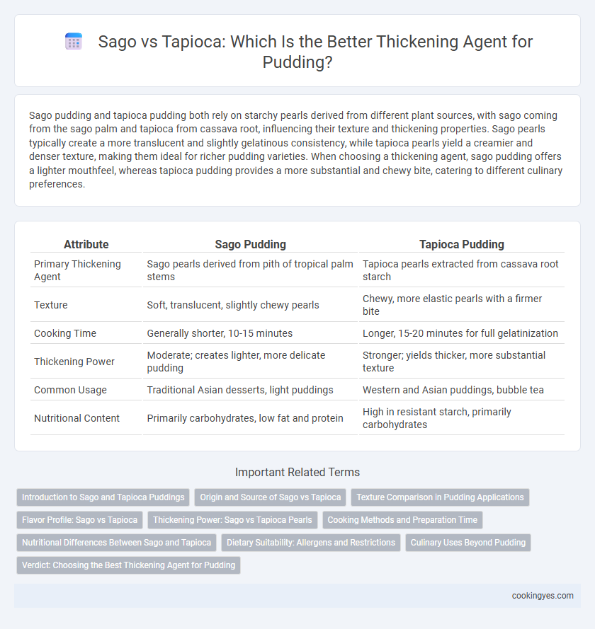 Sago vs Tapioca: Which Is the Better Thickening Agent for Pudding?