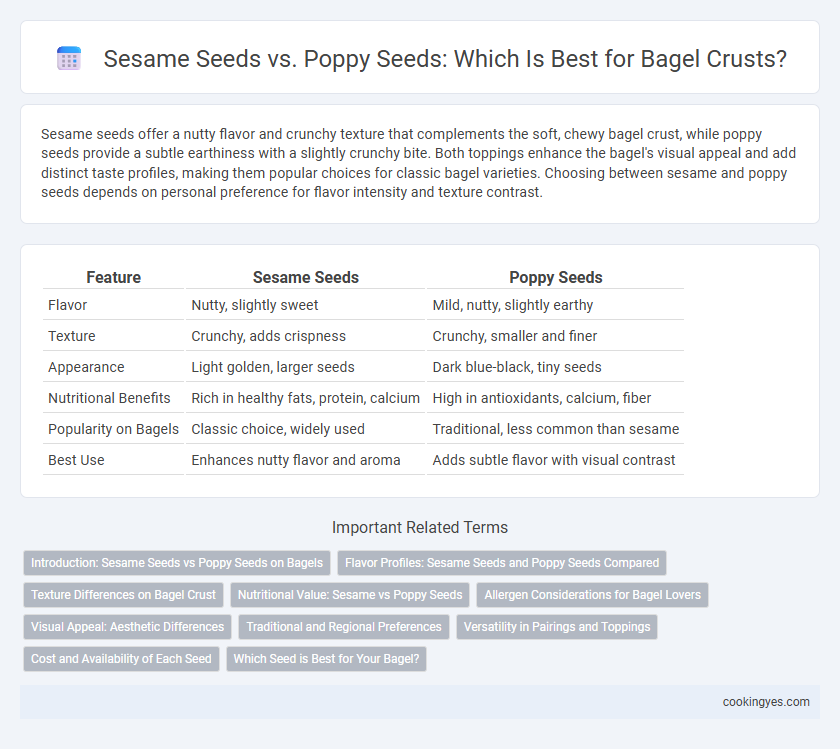 Sesame Seeds vs. Poppy Seeds: Which Is Best for Bagel Crusts?