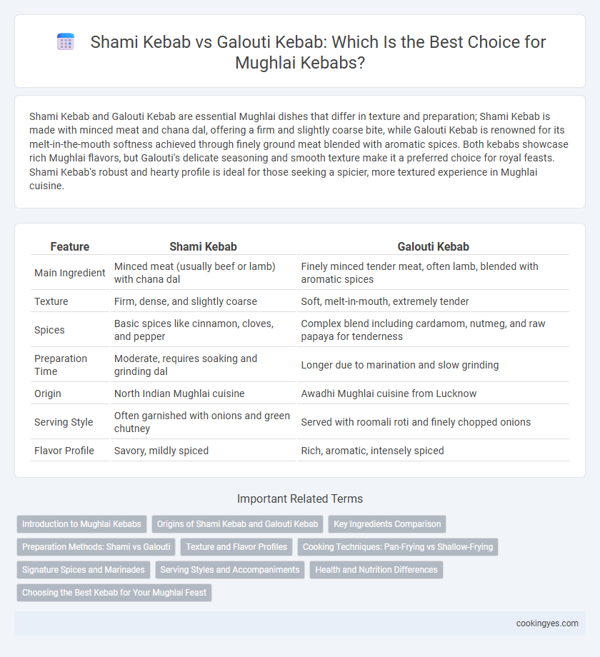 Shami Kebab vs Galouti Kebab: Which Is the Best Choice for Mughlai Kebabs?