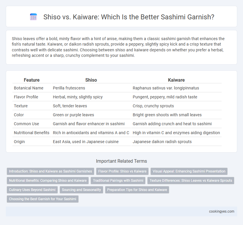 Shiso vs. Kaiware: Which Is the Better Sashimi Garnish?