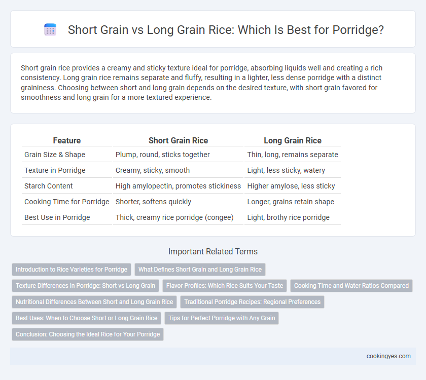 Short Grain vs Long Grain Rice: Which Is Best for Porridge?