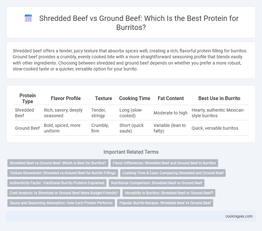 Shredded Beef vs Ground Beef: Which Is the Best Protein for Burritos?