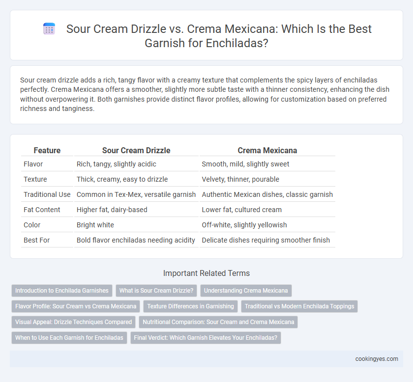 Sour Cream Drizzle vs. Crema Mexicana: Which Is the Best Garnish for Enchiladas?