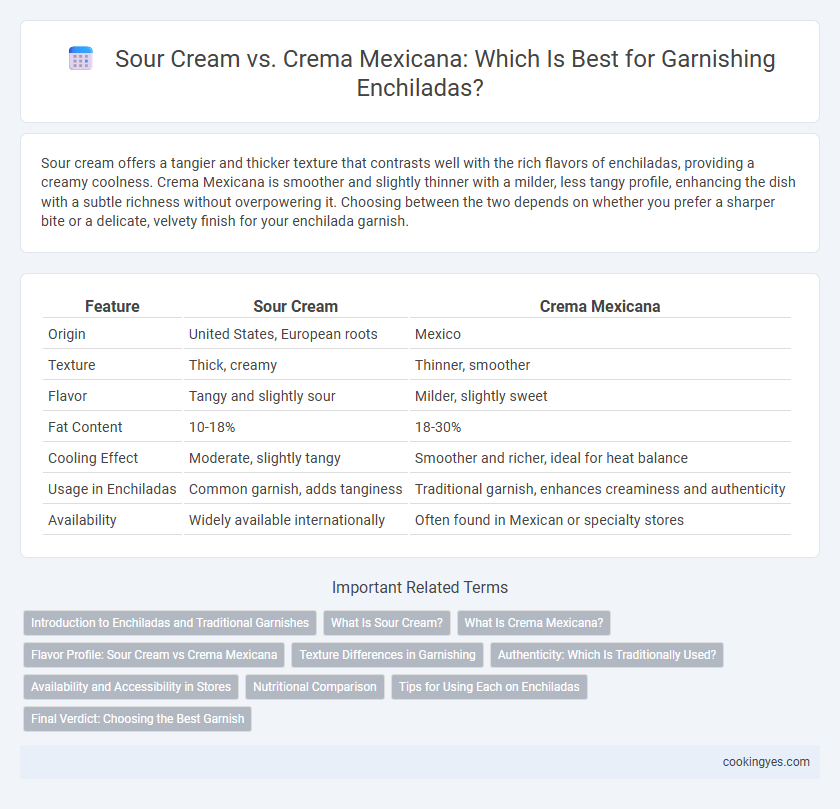 Sour Cream vs. Crema Mexicana: Which Is Best for Garnishing Enchiladas?