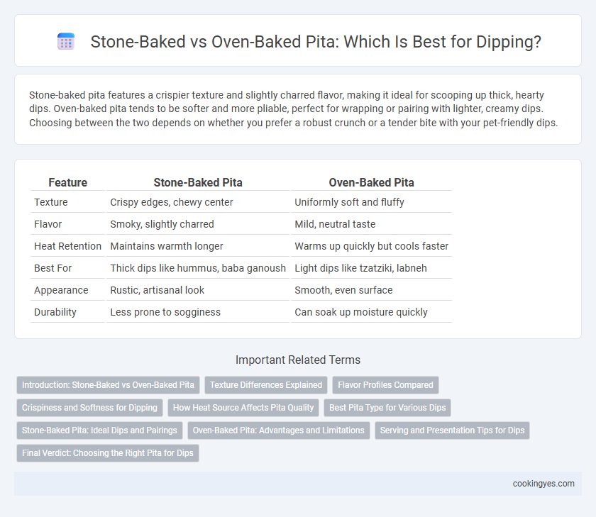 Stone-Baked vs Oven-Baked Pita: Which Is Best for Dipping?