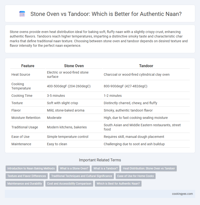Stone Oven vs Tandoor: Which is Better for Authentic Naan?