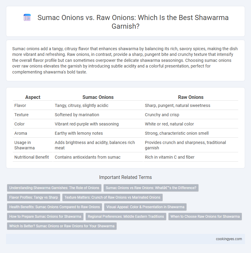 Sumac Onions vs. Raw Onions: Which Is the Best Shawarma Garnish?
