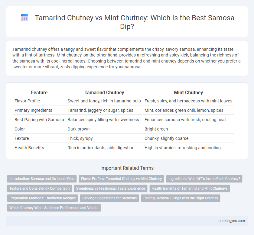 Tamarind Chutney vs Mint Chutney: Which Is the Best Samosa Dip?