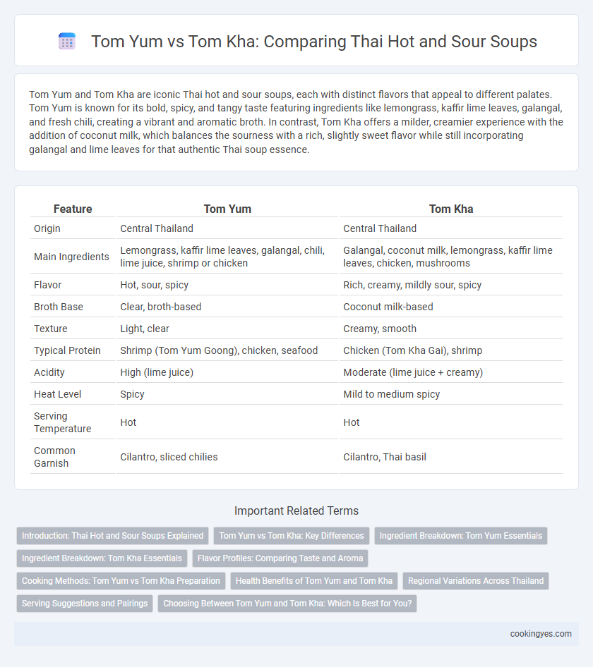 Tom Yum vs Tom Kha: Comparing Thai Hot and Sour Soups