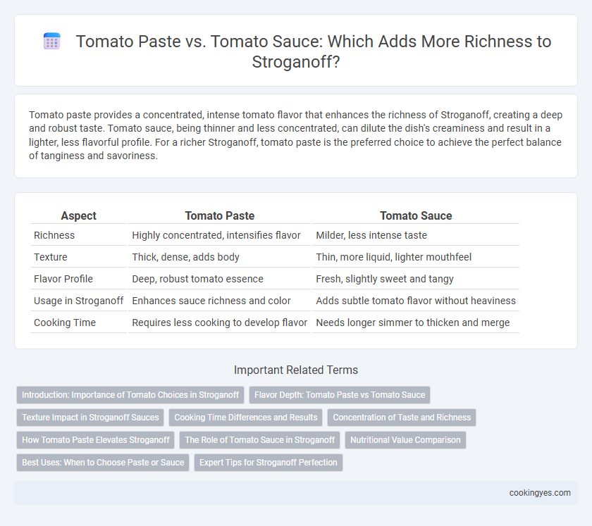 Tomato Paste vs. Tomato Sauce: Which Adds More Richness to Stroganoff?