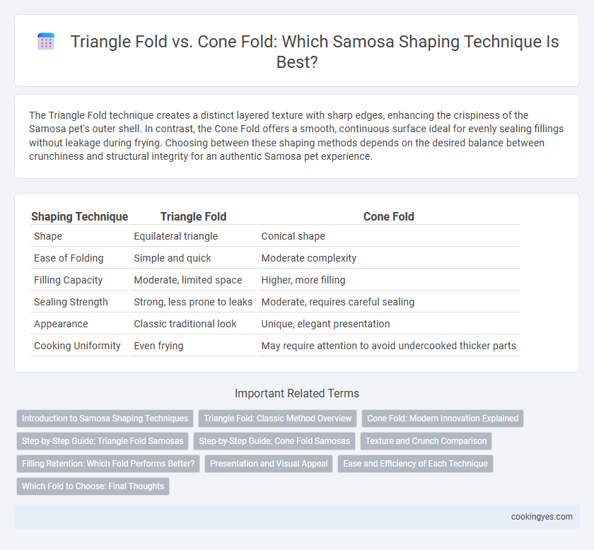 Triangle Fold vs. Cone Fold: Which Samosa Shaping Technique Is Best?