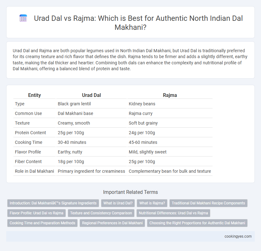 Urad Dal vs Rajma: Which is Best for Authentic North Indian Dal Makhani?