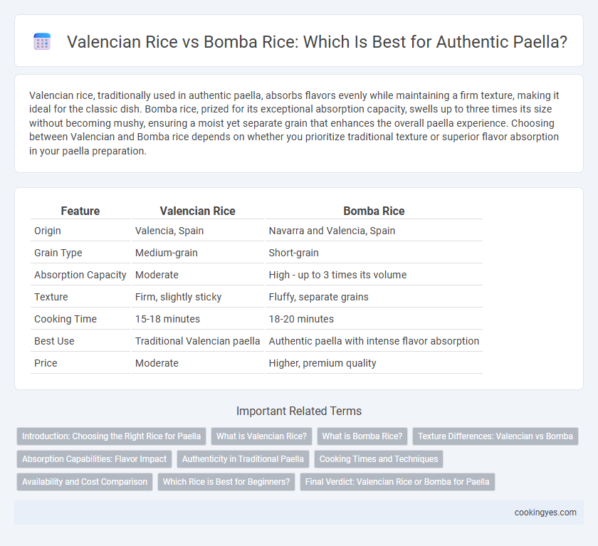 Valencian Rice vs Bomba Rice: Which Is Best for Authentic Paella?