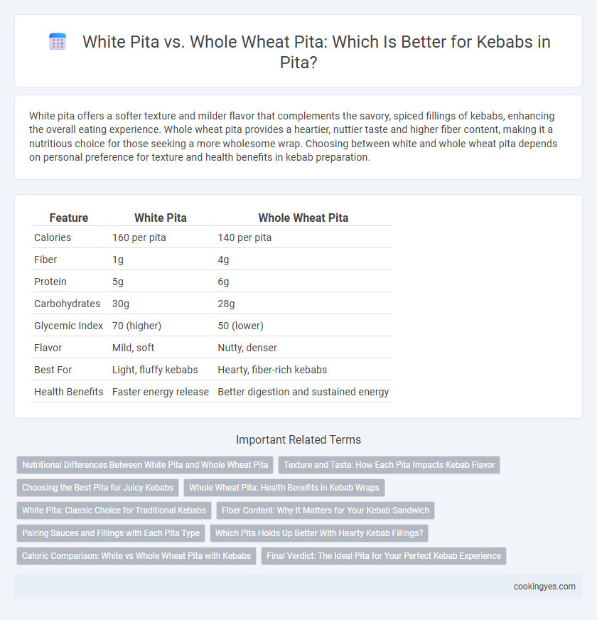 White Pita vs. Whole Wheat Pita: Which Is Better for Kebabs in Pita?