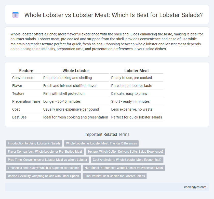 Whole Lobster vs Lobster Meat: Which Is Best for Lobster Salads?