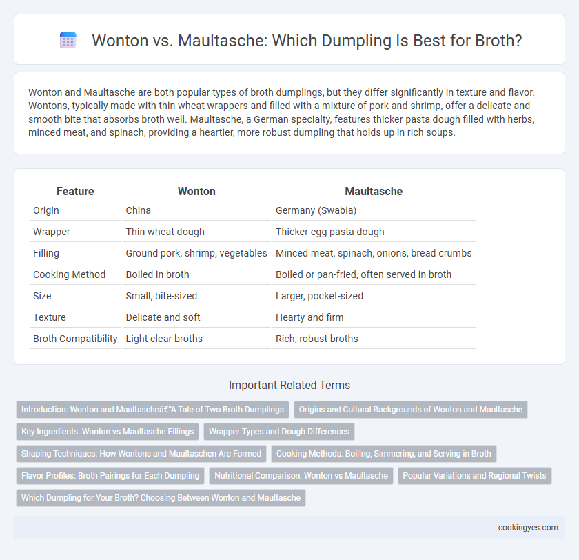 Wonton vs. Maultasche: Which Dumpling Is Best for Broth?